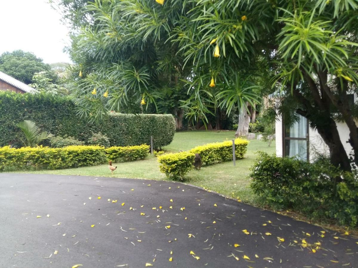 Arabica Villa Flic en Flac Exterior photo